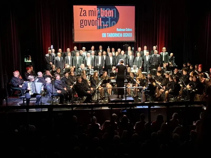 Povzava k prispevku: Ich werde für den Frieden sprechen...